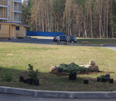 Субботник 2014