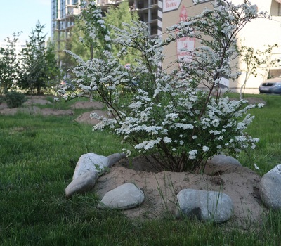 Благоустройство 2019